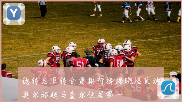 德转后卫转会费排行榜揭晓格瓦迪奥尔超越马奎尔位居第一