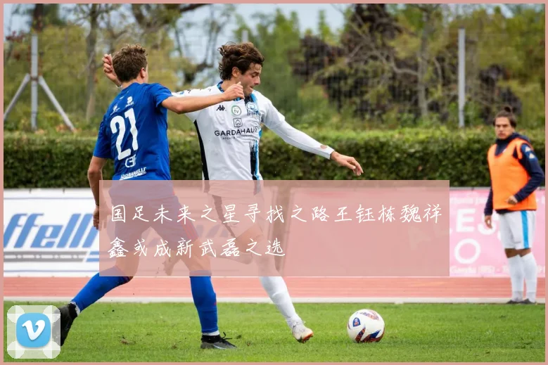 国足未来之星寻找之路王钰栋魏祥鑫或成新武磊之选